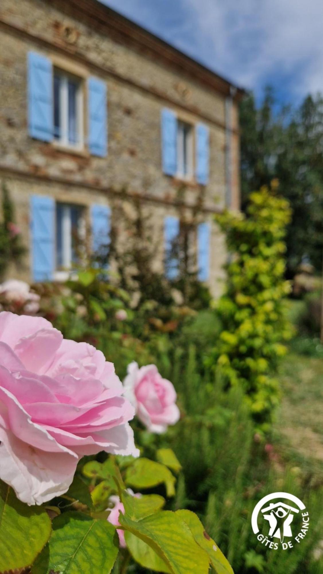 Aux Roses De Cedres Chambre Savane Salvagnac Eksteriør bilde
