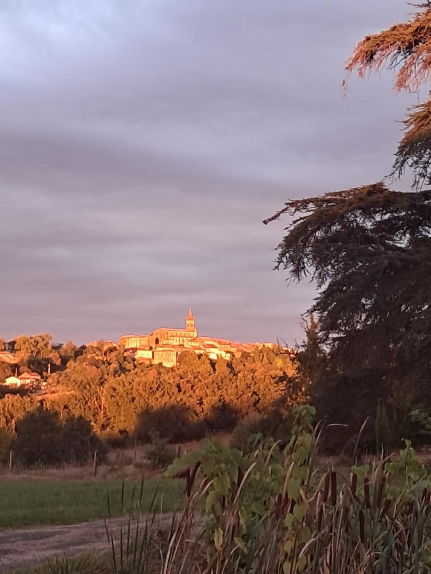 Aux Roses De Cedres Chambre Savane Salvagnac Eksteriør bilde